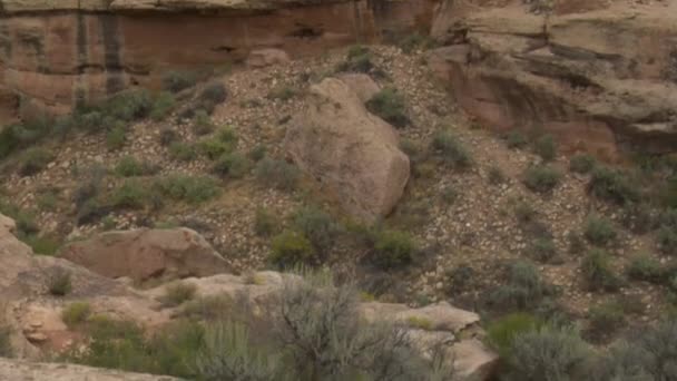 Revelando ruínas no Monumento Nacional Hovenweep — Vídeo de Stock