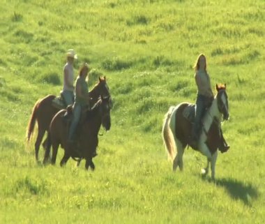 dörtnala atlar üzerinde üç genç kadın arasında yeşil çayır