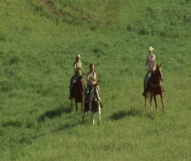 Τρεις κοπέλες για άλογα που καλπάζουν πέρα από πράσινο λιβάδι — Αρχείο Βίντεο