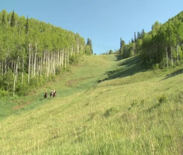 Three young women on horses gallop across green meadow — Stock Video