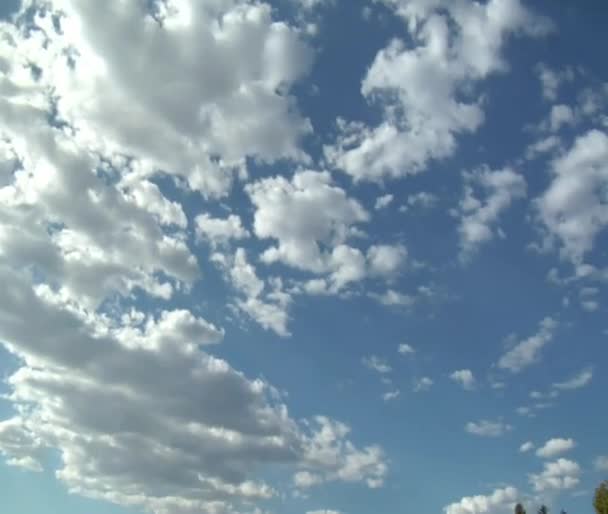 Tilt down shot of Mormon Temple Manti Utah — Stock Video