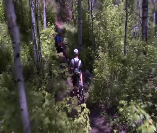Mountain bikers pedal down steep wooded trail — Stock Video