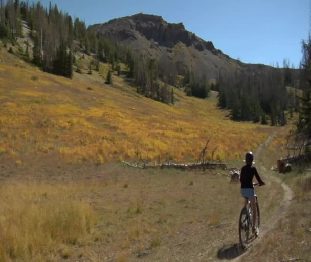 Mountain bike femminile sul sentiero dei fiori selvatici — Video Stock