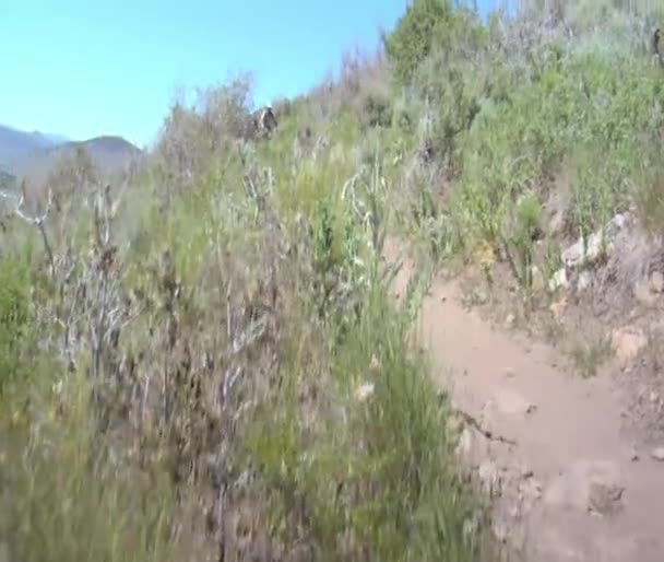 Mountain bikers pedal down dusty trail — Stock Video