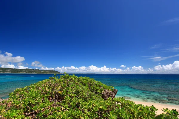 Piękne subtropikalnych okinawa — Zdjęcie stockowe