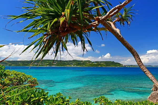 Beautiful subtropical Okinawa — Stock Photo, Image