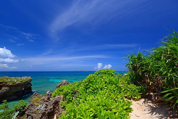 Bella Okinawa subtropicale — Foto Stock