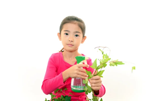 Smiling girl with plant — Stock Photo, Image