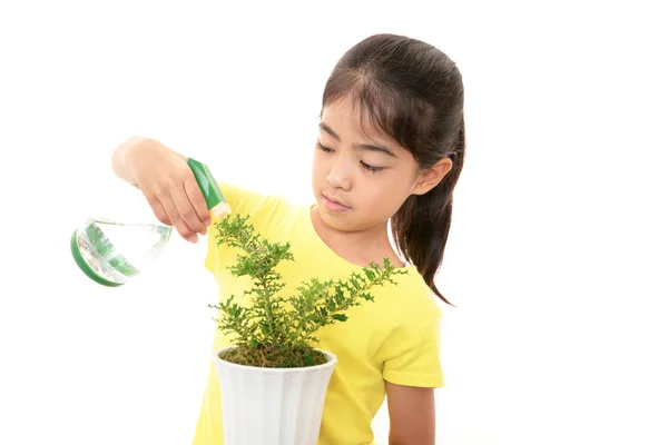Девушка с растением — стоковое фото