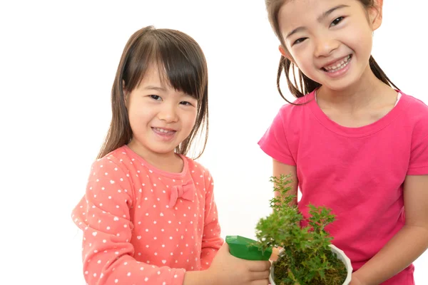 Smiling girls with plant — Stock Photo, Image