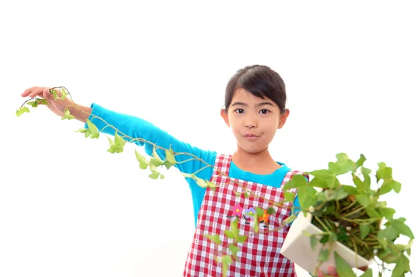 她手里握着一棵植物的女孩 — 图库照片