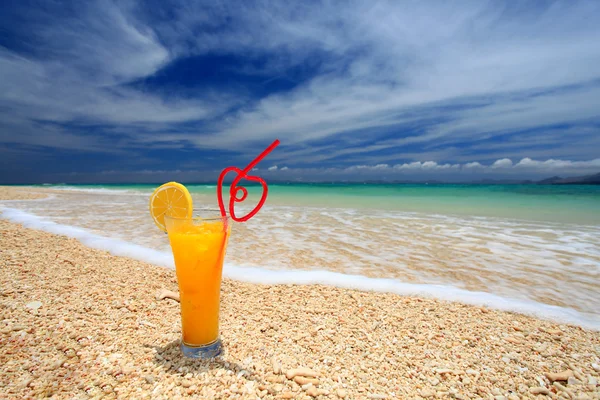 Pantai yang indah dan minum — Stok Foto