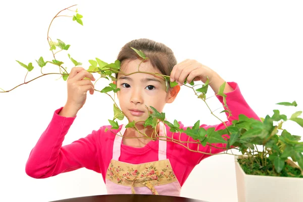 Smiling Asian girl with plant — Stock Photo, Image