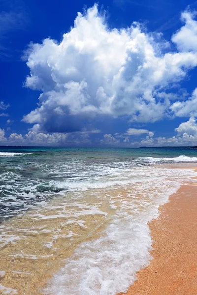 Nádherná pláž v okinawa — Stock fotografie