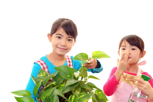 Meninas sorridentes com planta — Fotografia de Stock