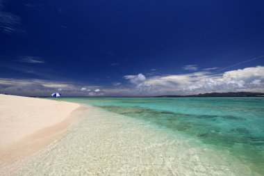 Okinawa 'nın zümrüt yeşili denizi.