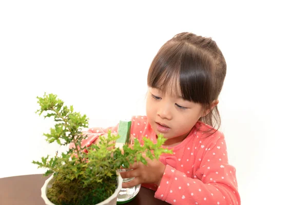 Азиатская девушка с растением — стоковое фото