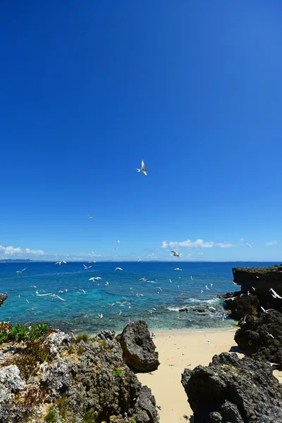 Langit musim panas dan pantai indah Okinawa — Stok Foto