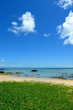 Okinawa güzel bir plaj