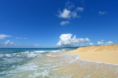 Okinawa güzel bir plaj