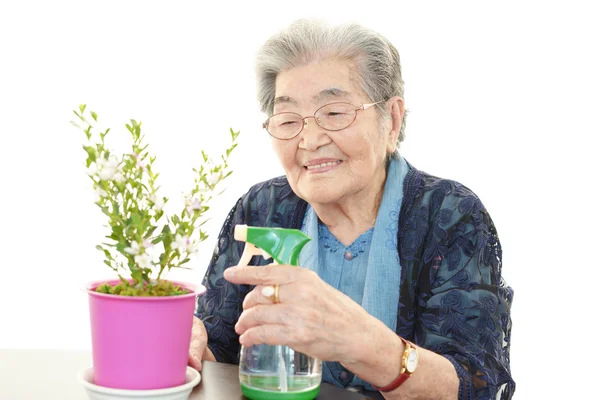 Oude vrouw met plant — Stockfoto