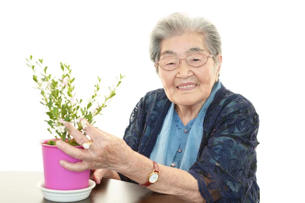 Lachende oude vrouw met plant — Stockfoto