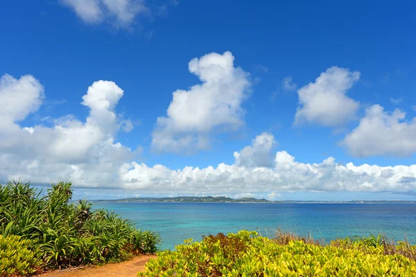 Blue sky and subtropical plants of Okinawa — Stock Photo, Image
