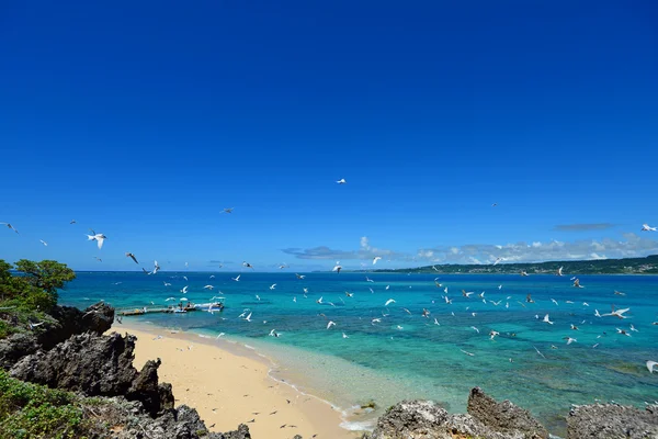 Letnie niebo i piękna plaża Okinawa — Zdjęcie stockowe
