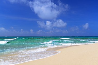 Okinawa güzel bir plaj