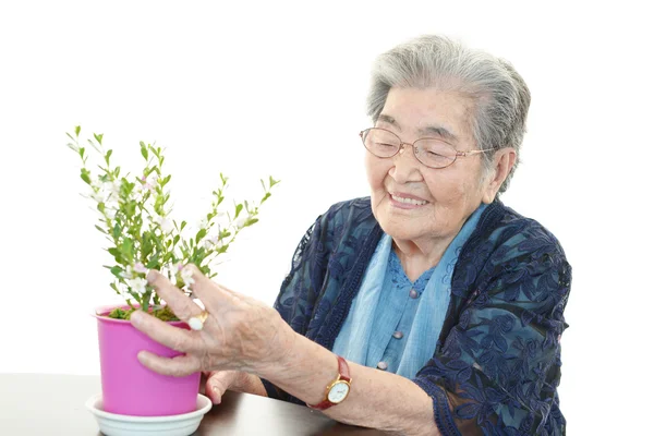 Stara kobieta z roślin — Zdjęcie stockowe