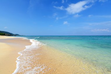 Okinawa güzel bir plaj