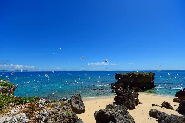 Laut biru dan langit di Okinawa — Stok Foto