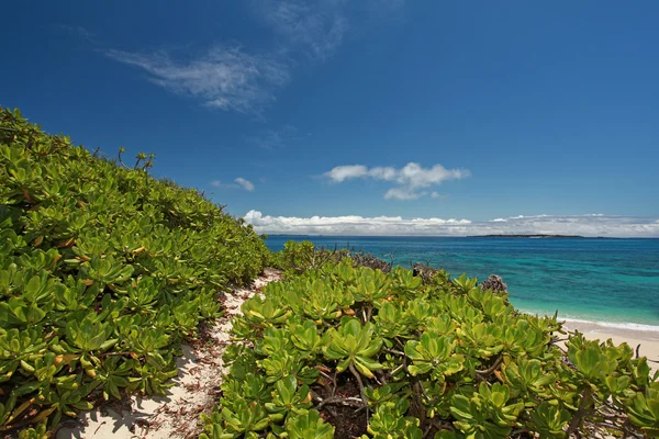 Beautiful beach — Stock Photo, Image