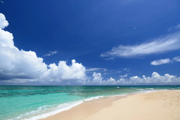 美しいビーチ — ストック写真