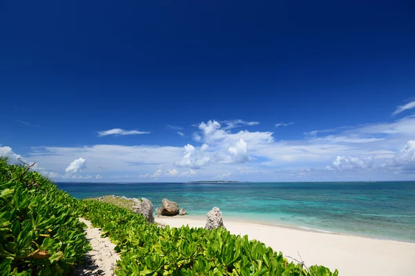 Schöner Strand — Stockfoto