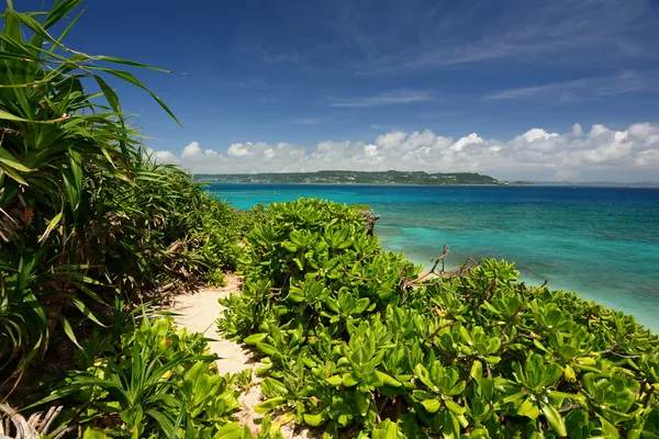 Beautiful beach — Stock Photo, Image