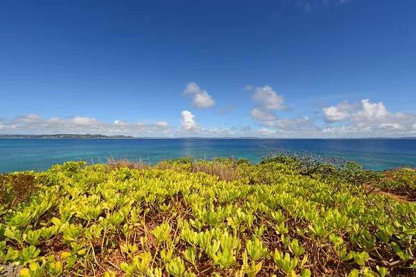 Pantai yang indah — Stok Foto