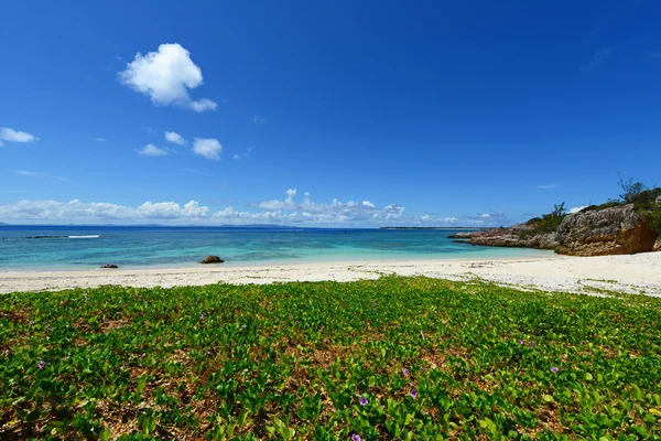 Schöner Strand — Stockfoto