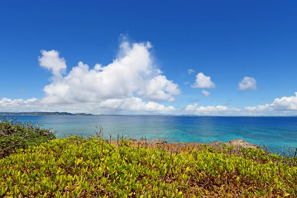 Beautiful beach — Stock Photo, Image