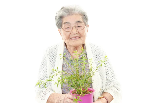 Smilende gammel kvinde - Stock-foto