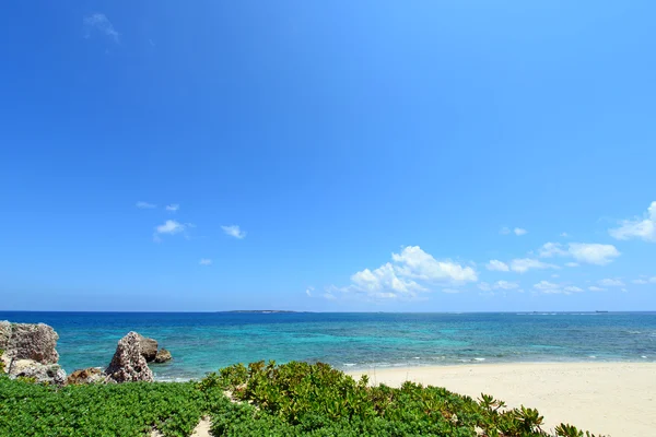 Vacker strand — Stockfoto