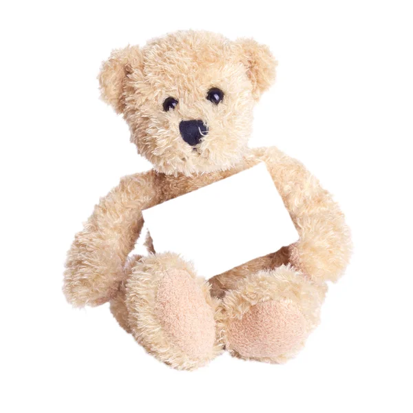 Teddybear — Stock fotografie