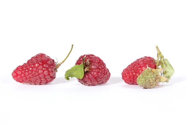 Raspberries — Stock Photo, Image