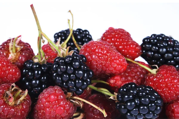 Raspberries and brambles — Stock Photo, Image