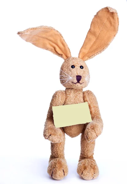 Easter bunny — Stock Photo, Image