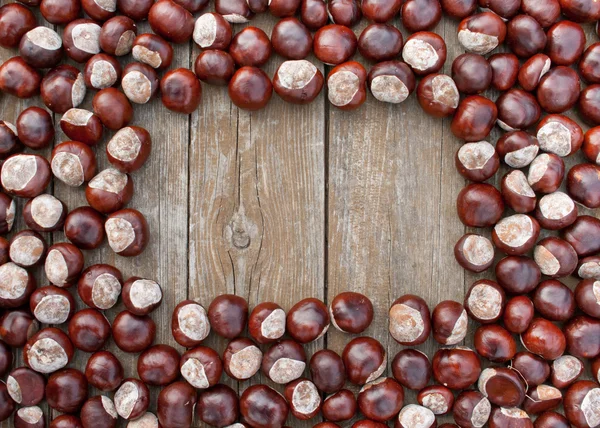 Castanhas — Fotografia de Stock