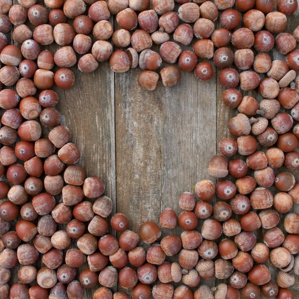 Acorns — Stock Photo, Image