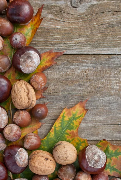 Herbst — Stockfoto