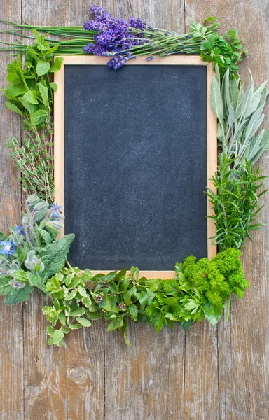 Fresh herbs — Stock Photo, Image