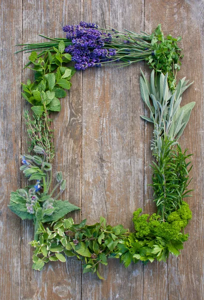 Fresh herbs — Stock Photo, Image